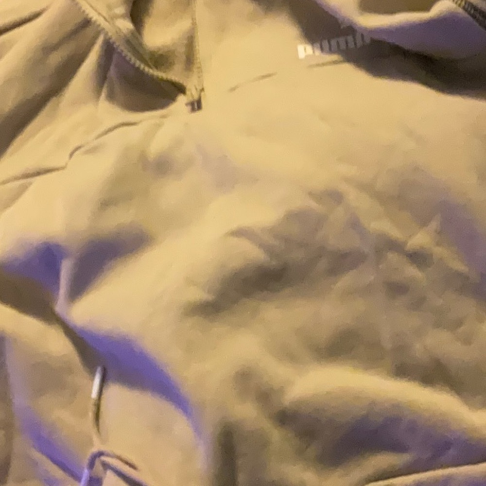 Puma Crop Hoodie